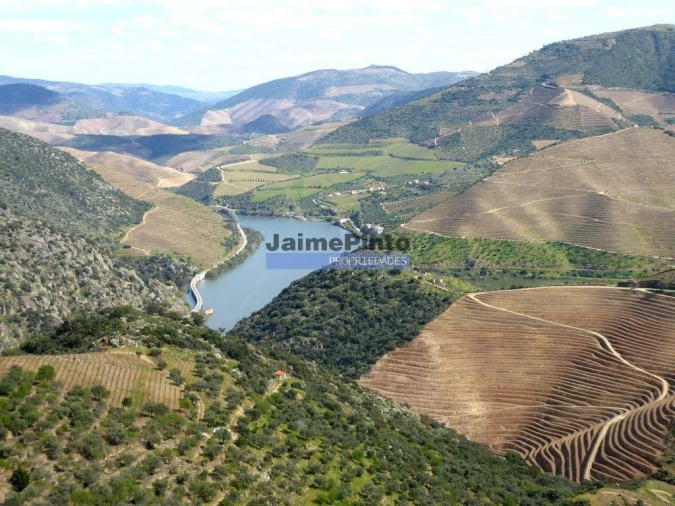 Terreno para Venda em São João da Pesqueira e Várzea de Trevões Foto 4