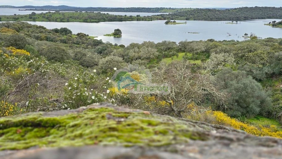 Terreno para Venda em Monsaraz