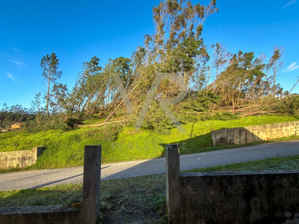 Moradia T3 para Venda em Espite Foto 15