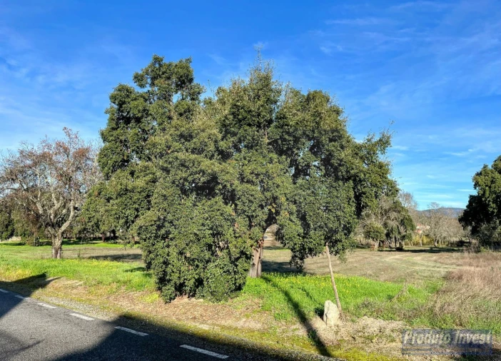 Terreno para Venda em Soalheira Foto 2