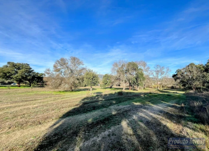 Terreno para Venda em Soalheira Foto 8