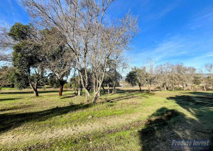 Terreno para Venda em Soalheira Foto 7