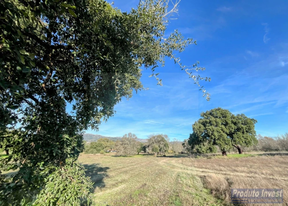 Terreno para Venda em Soalheira Foto 14