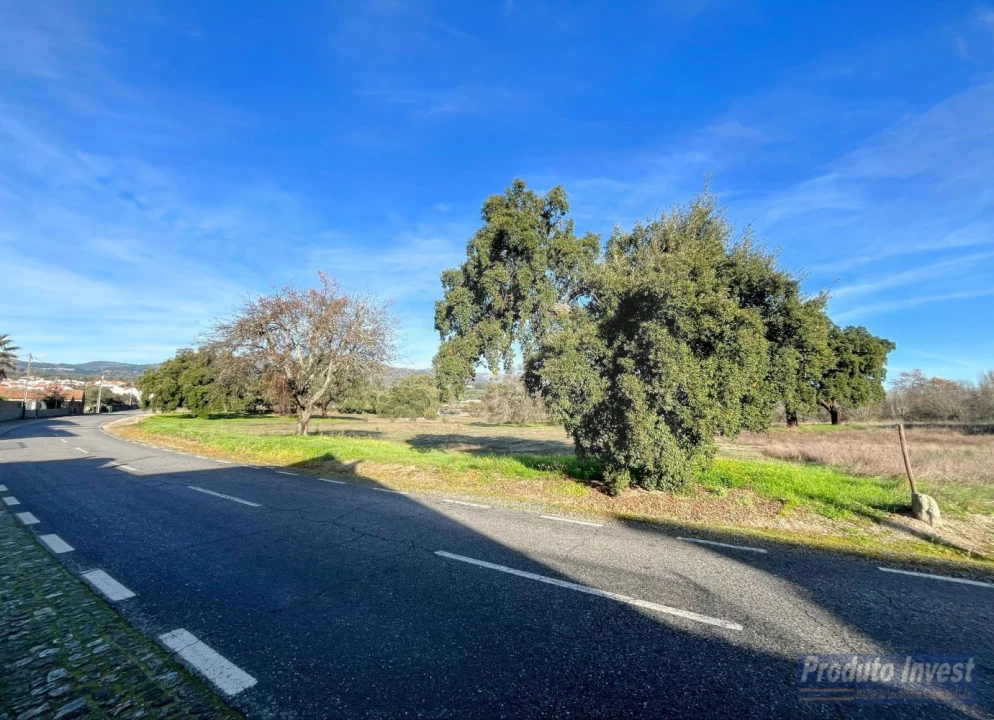 Terreno para Venda em Soalheira Foto 4