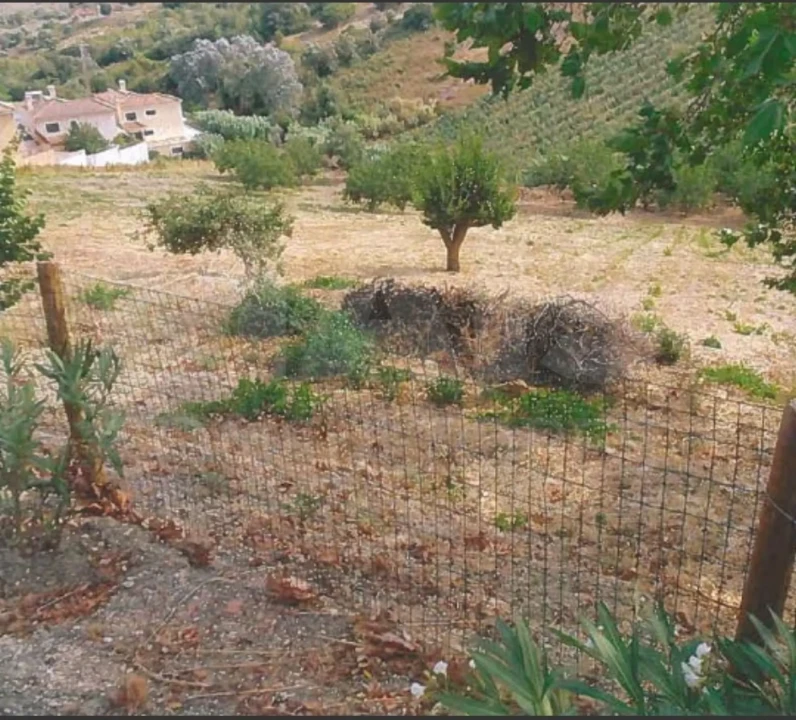Terreno para Venda em Vila Franca de Xira Foto 5