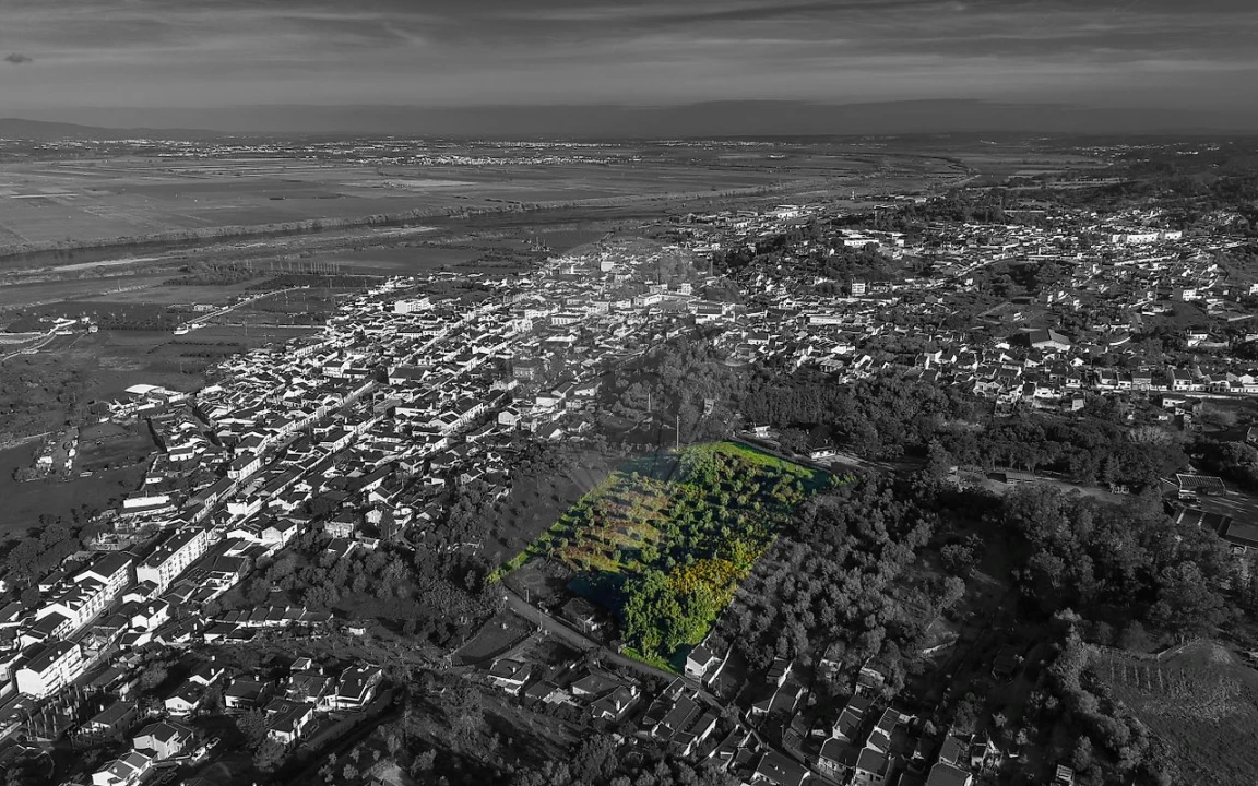 Terreno para Venda em Chamusca e Pinheiro Grande Foto 1