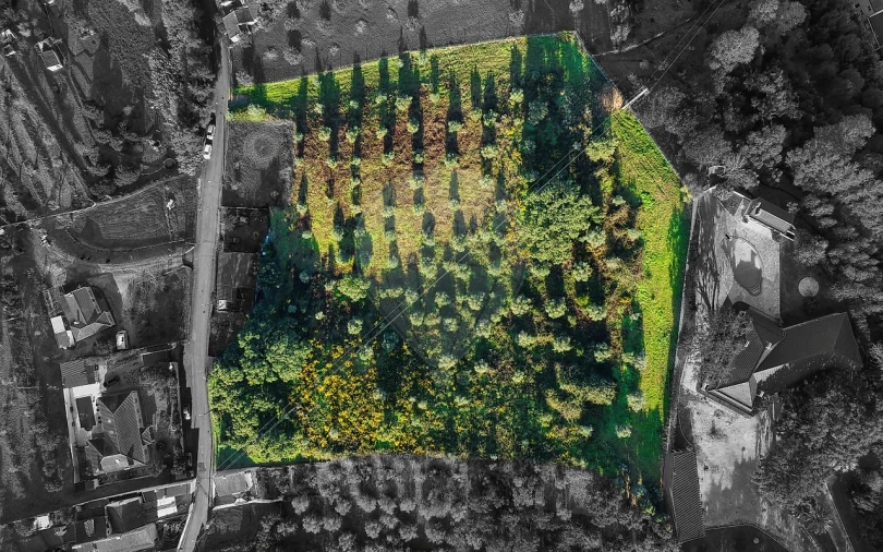 Terreno para Venda em Chamusca e Pinheiro Grande Foto 5