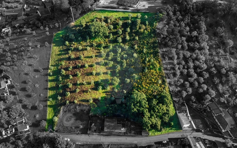 Terreno para Venda em Chamusca e Pinheiro Grande Foto 4