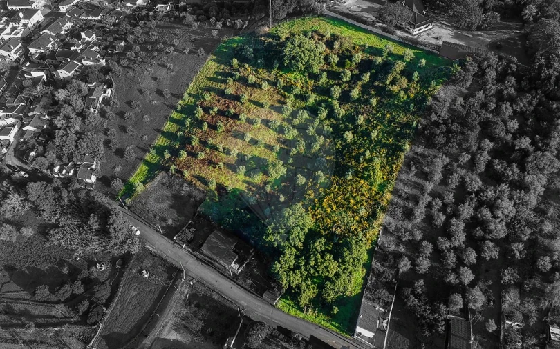 Terreno para Venda em Chamusca e Pinheiro Grande Foto 2