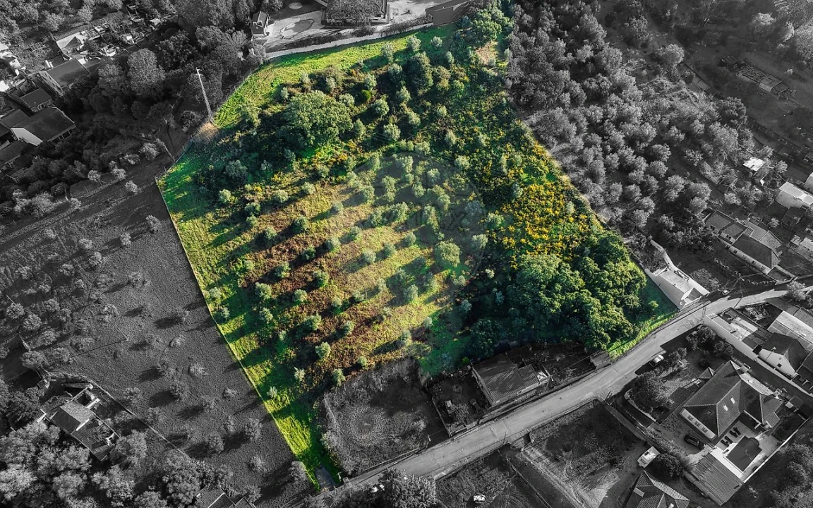 Terreno para Venda em Chamusca e Pinheiro Grande Foto 3