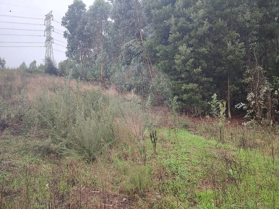 Terreno para Venda em Sandim, Olival, Lever e Crestuma Foto 8