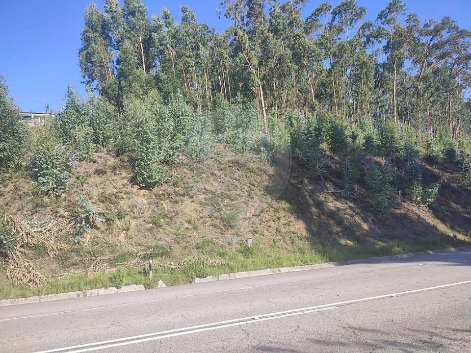 Terreno para Venda em Sandim, Olival, Lever e Crestuma Foto 3