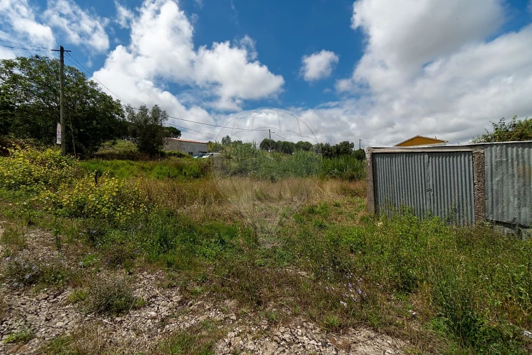Terreno para Venda em Ribafria e Pereiro de Palhacana Foto 3