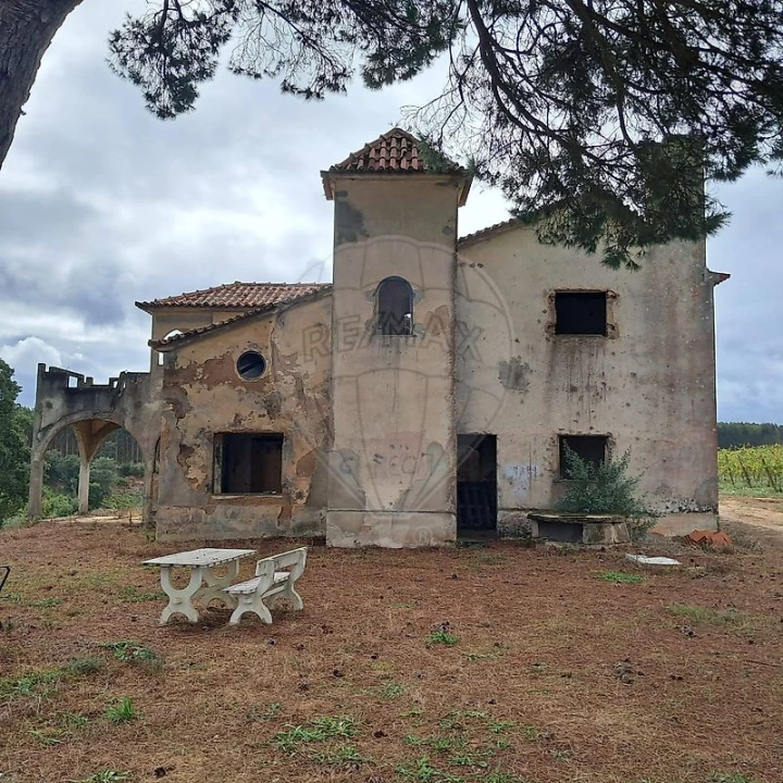 Quinta T0 para Venda em Cadaval e Pêro Moniz Foto 3