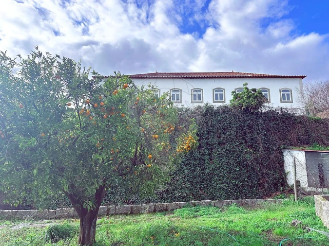 Terreno para Venda em Peso da Régua e Godim Foto 12