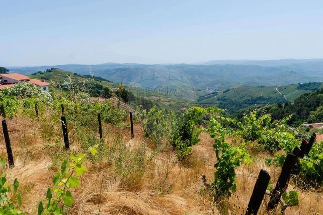 Quinta T0 para Venda em Fontes Foto 28