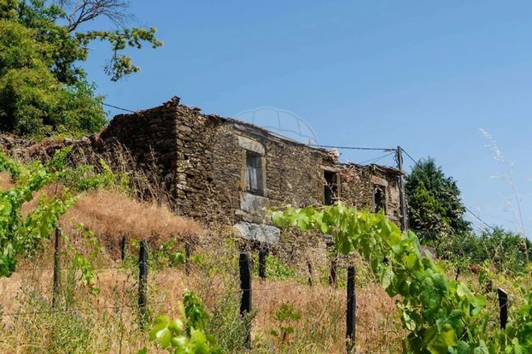 Quinta T0 para Venda em Fontes Foto 27