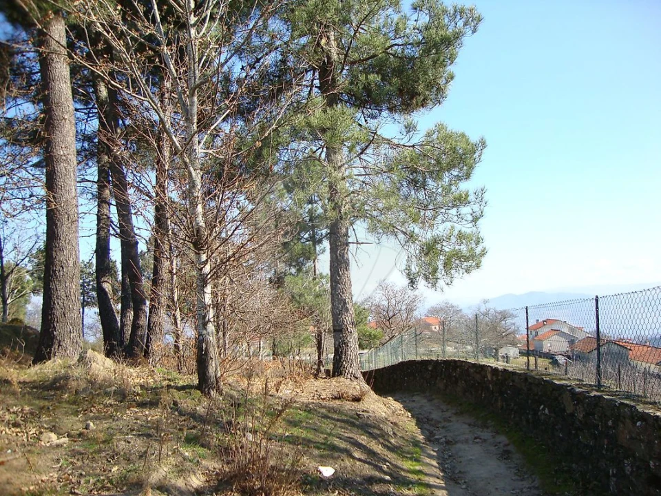 Terreno para Venda em Avões Foto 4