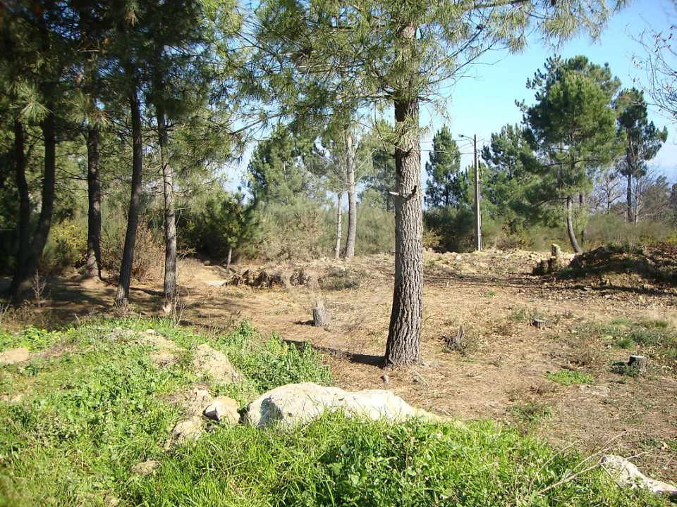 Terreno para Venda em Avões Foto 3