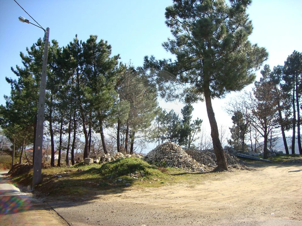 Terreno para Venda em Avões Foto 5