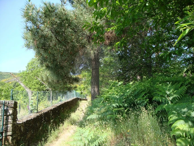 Terreno para Venda em Avões Foto 7
