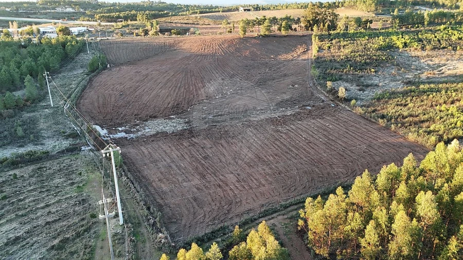 Terreno para Venda em Sarnadas de Rodão Foto 5