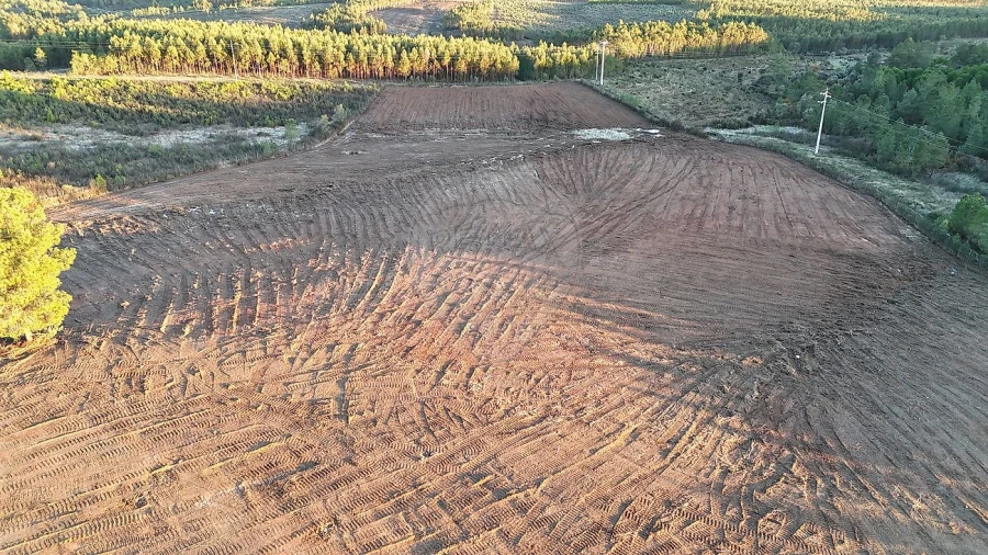 Terreno para Venda em Sarnadas de Rodão Foto 8