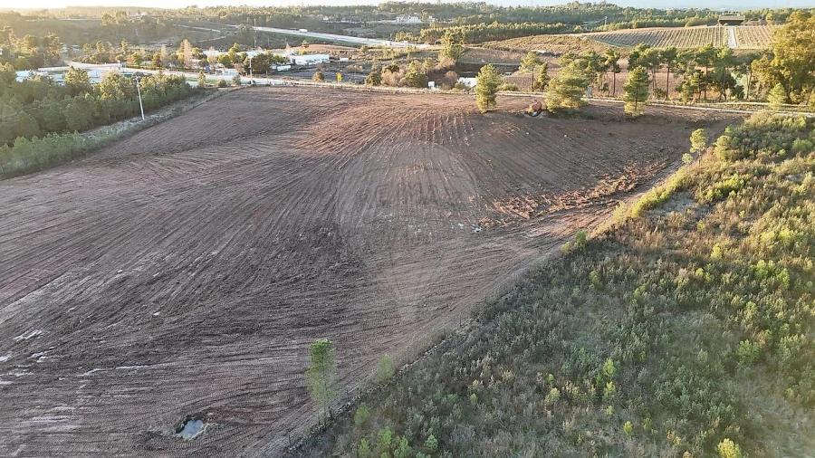 Terreno para Venda em Sarnadas de Rodão Foto 2