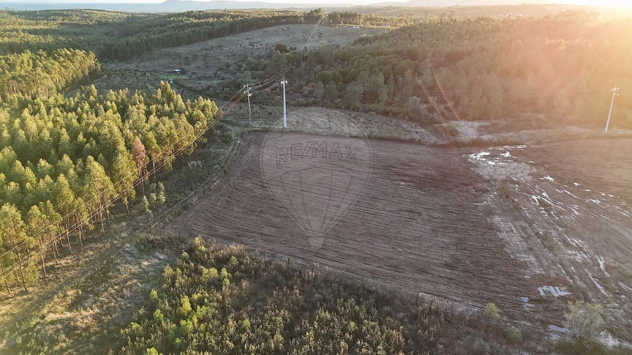 Terreno para Venda em Sarnadas de Rodão Foto 1