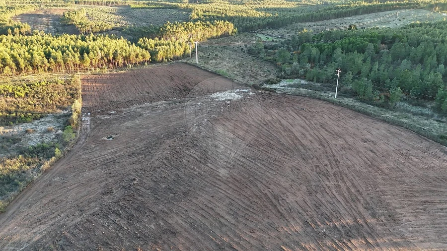 Terreno para Venda em Sarnadas de Rodão Foto 3