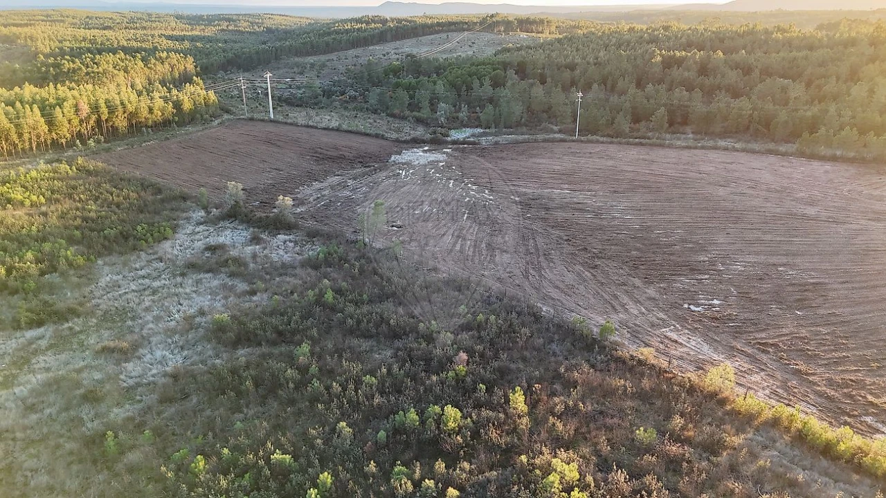 Terreno para Venda em Sarnadas de Rodão Foto 7