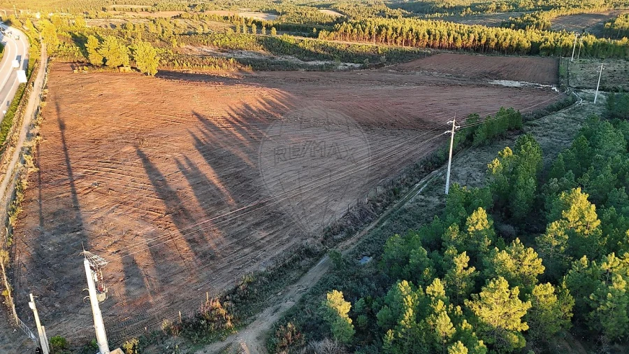 Terreno para Venda em Sarnadas de Rodão