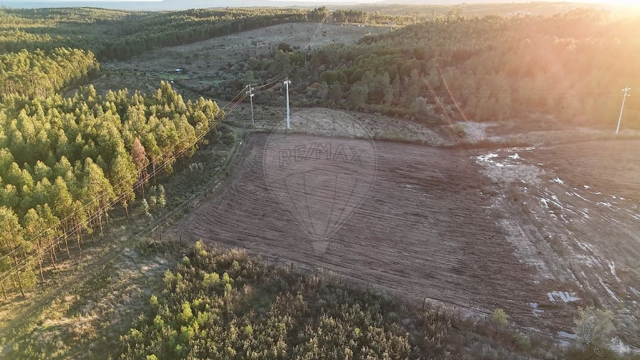 Terreno para Venda em Sarnadas de Rodão