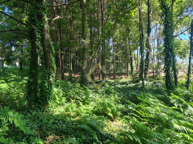 Terreno para Venda em Pedroso e Seixezelo Foto 2