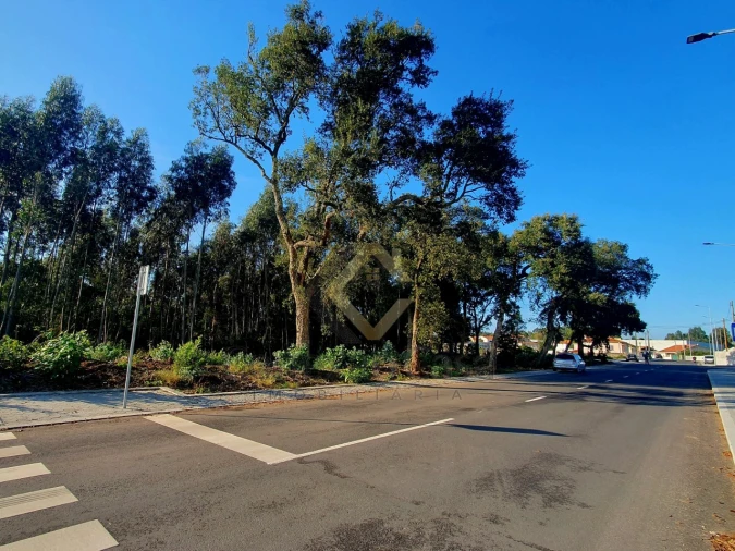 Terreno para Venda em Arcozelo Foto 3