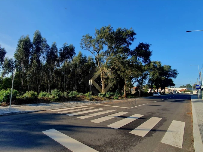 Terreno para Venda em Arcozelo Foto 6