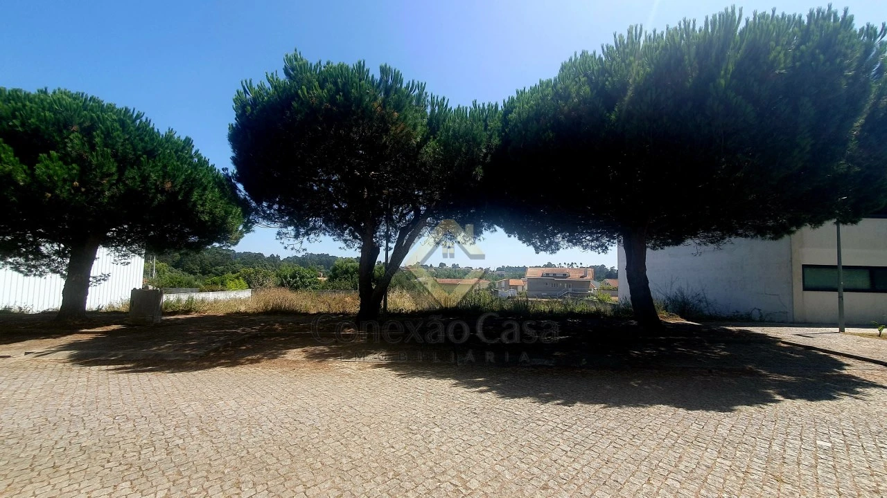 Terreno para Venda em Anta e Guetim Foto 5