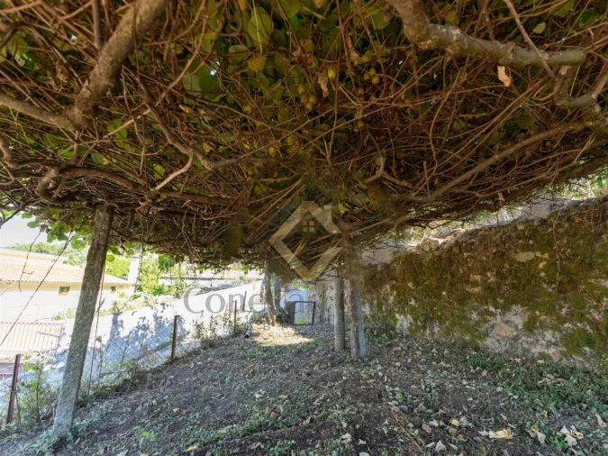 Quinta T5 para Venda em Roriz Foto 21