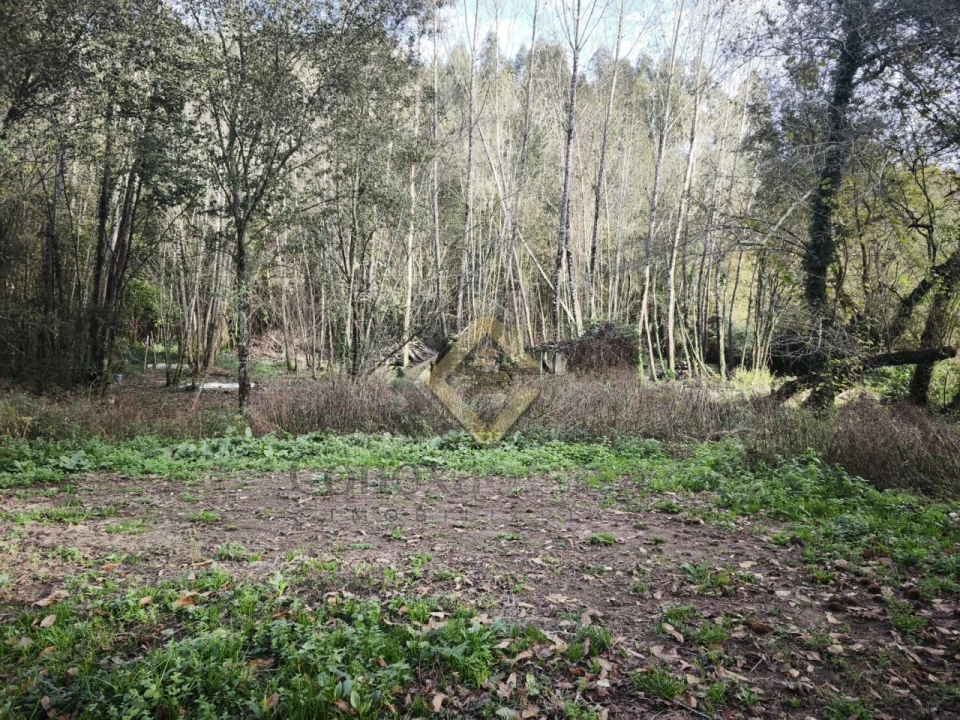 Terreno Agricola ou Rústico para Venda em Pedroso e Seixezelo Foto 2