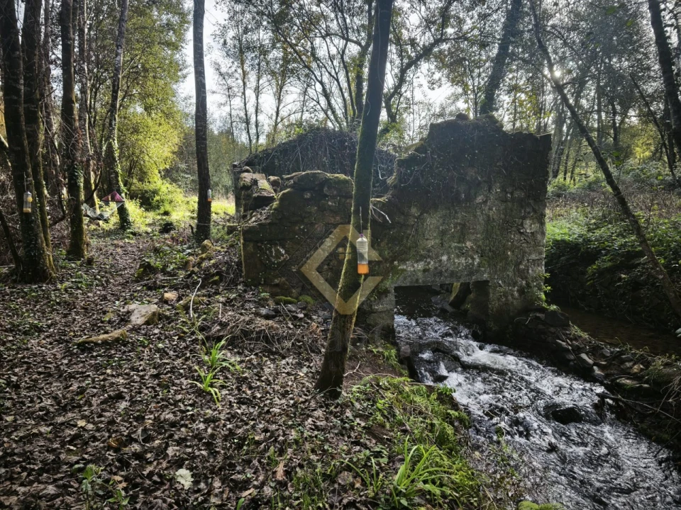 Terreno Agricola ou Rústico para Venda em Pedroso e Seixezelo Foto 1