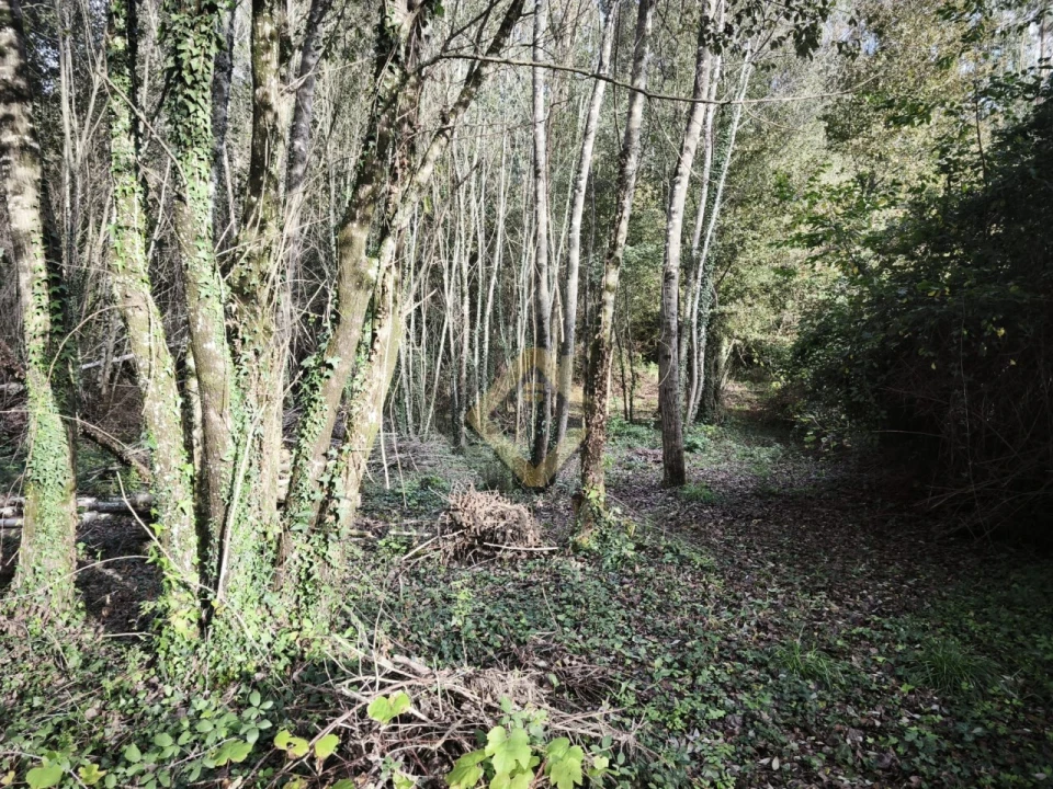 Terreno Agricola ou Rústico para Venda em Pedroso e Seixezelo Foto 4
