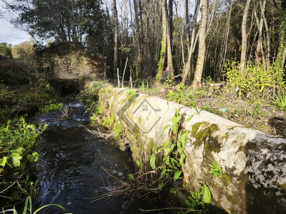 Terreno Agricola ou Rústico para Venda em Pedroso e Seixezelo Foto 5