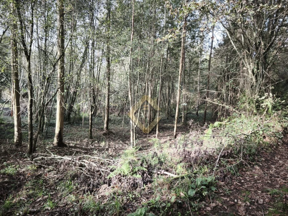 Terreno Agricola ou Rústico para Venda em Pedroso e Seixezelo Foto 6