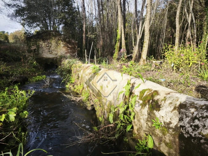 Terreno Agricola ou Rústico para Venda em Pedroso e Seixezelo Foto 5
