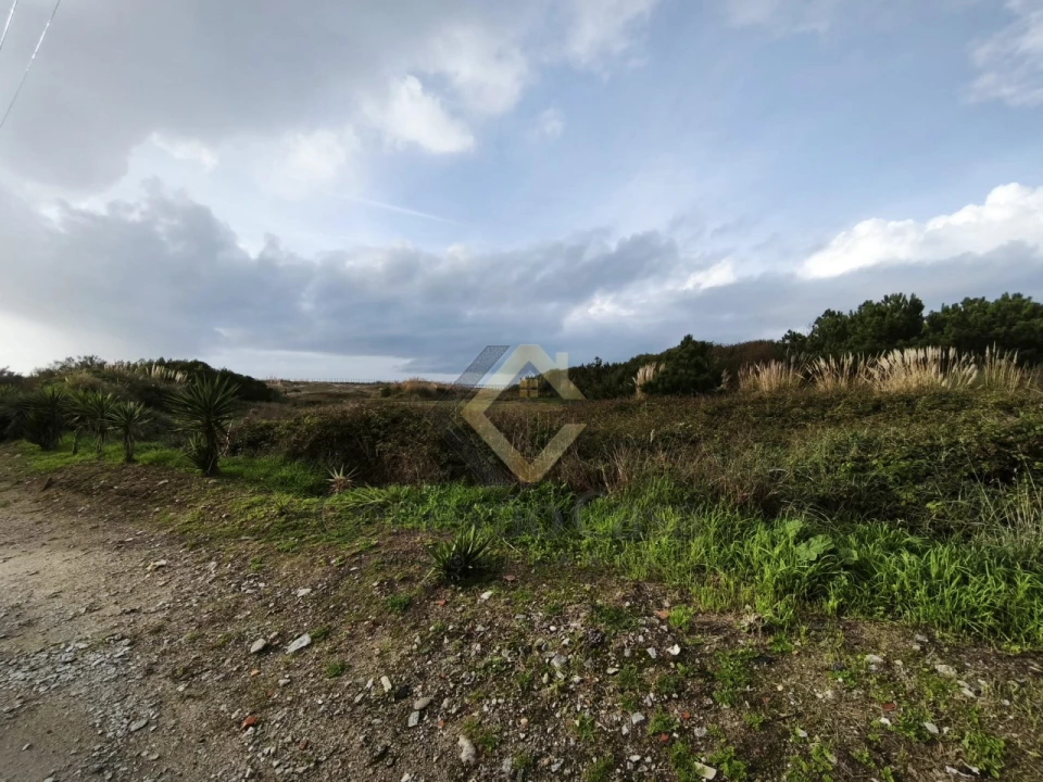 Terreno para Venda em Madalena Foto 4