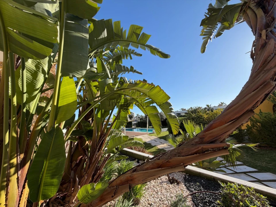 Apartamento T3 para Venda em Albufeira e Olhos de Água Foto 34