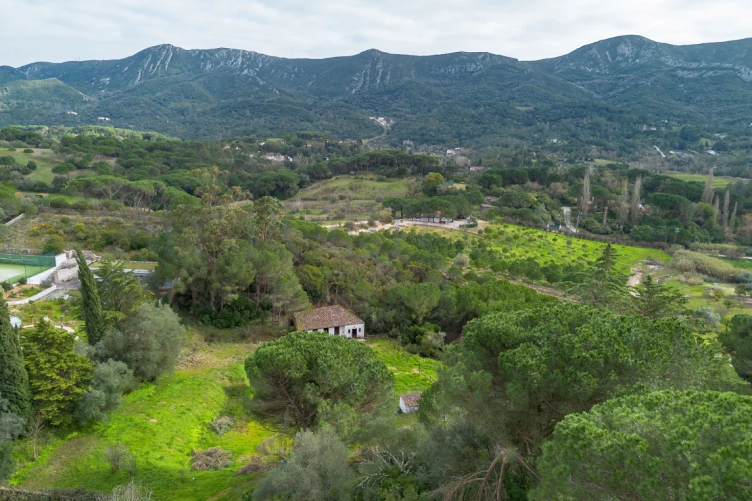 Quinta T3 para Venda em Azeitão (São Lourenço e São Simão) Foto 4