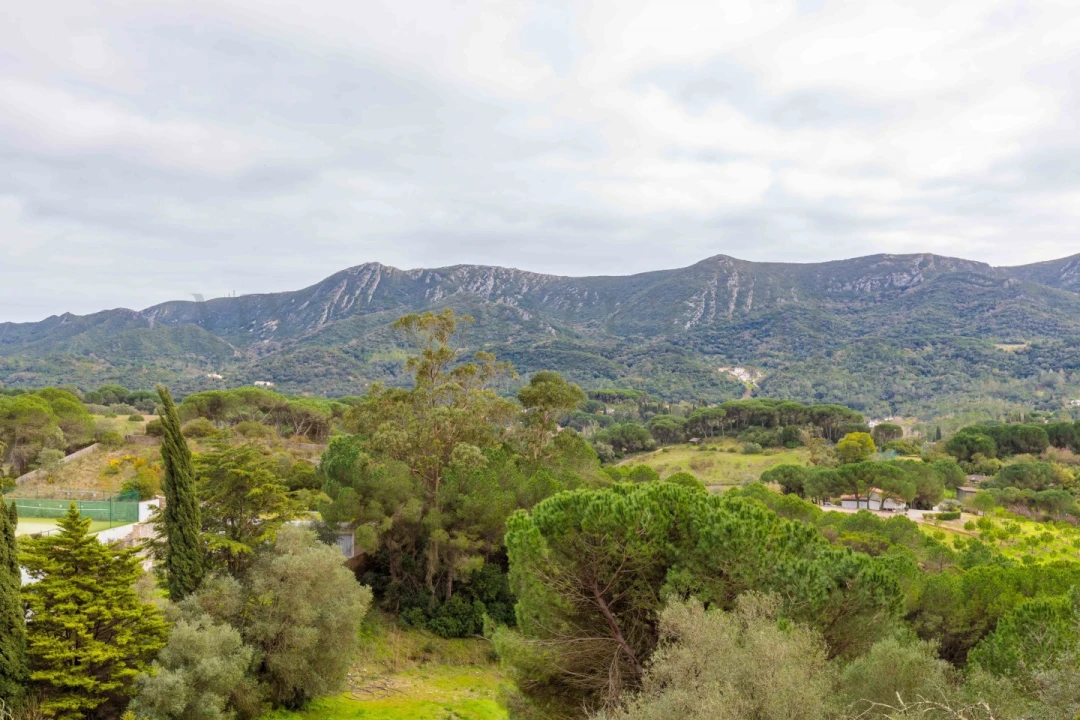 Quinta T3 para Venda em Azeitão (São Lourenço e São Simão) Foto 6