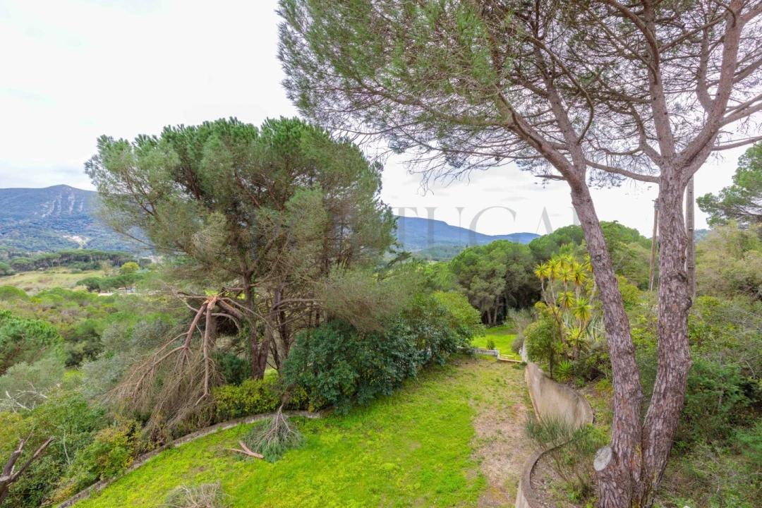 Quinta T3 para Venda em Azeitão (São Lourenço e São Simão) Foto 8