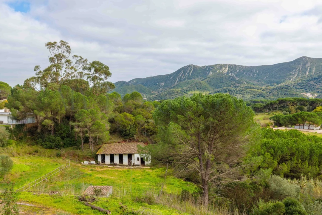 Quinta T3 para Venda em Azeitão (São Lourenço e São Simão) Foto 27